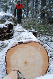 DSC_0176.JPG